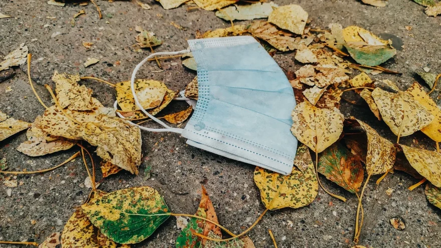 здоровье