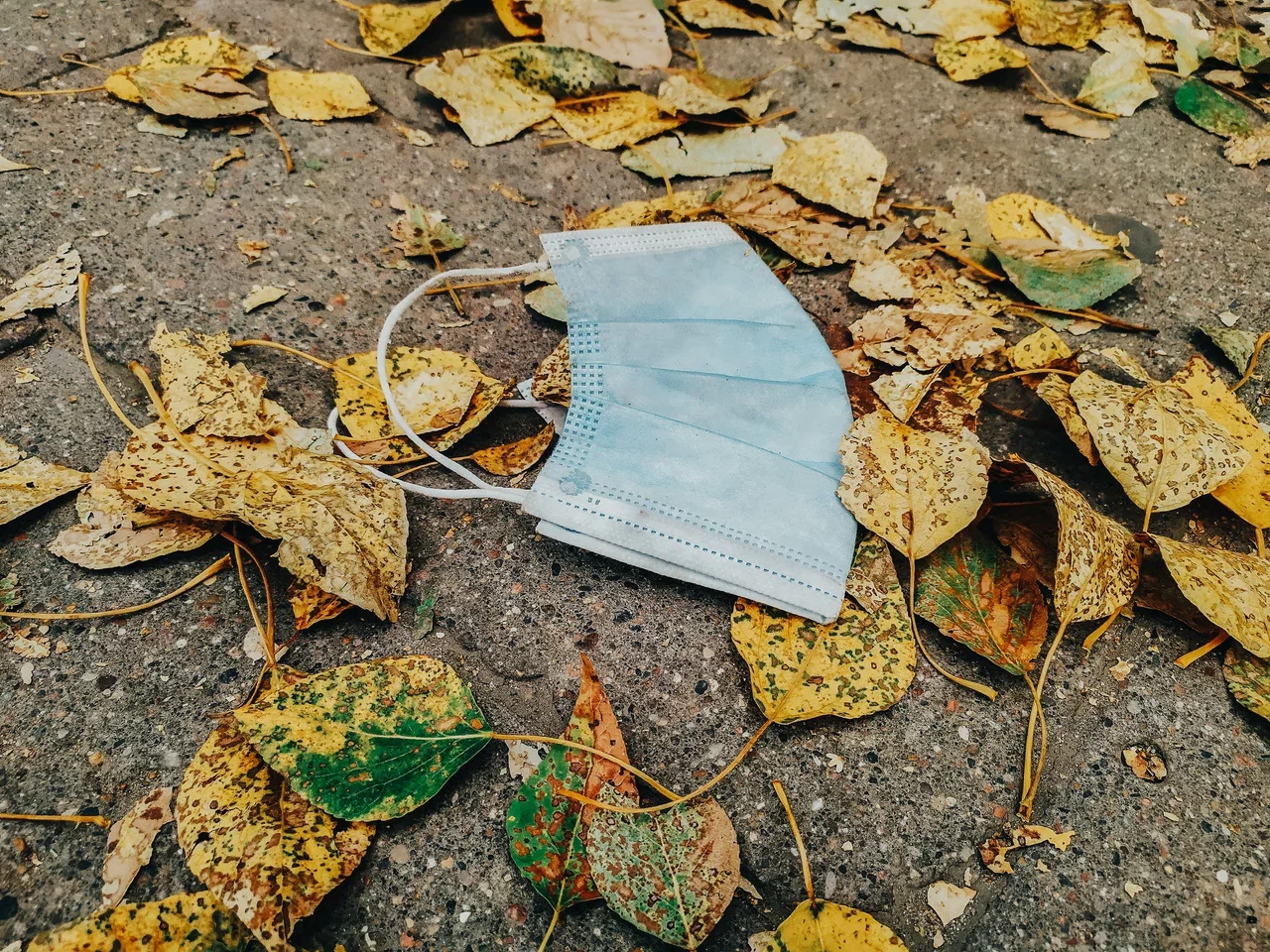 здоровье