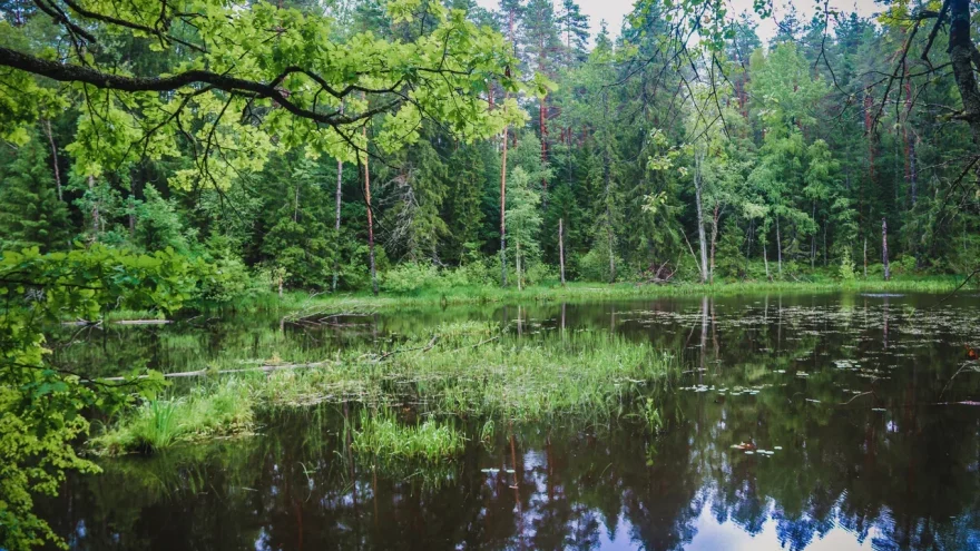 охоты