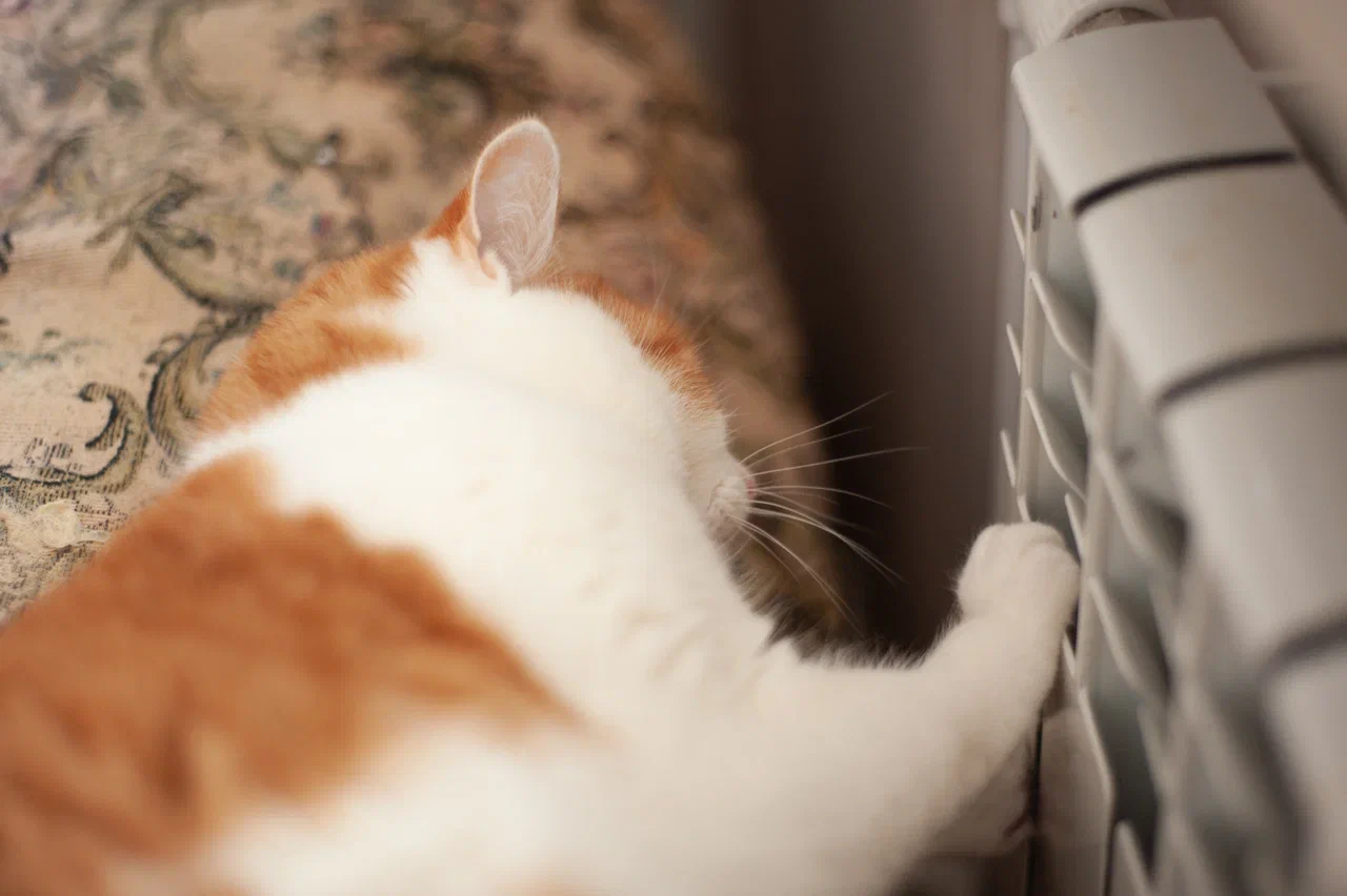 Твери