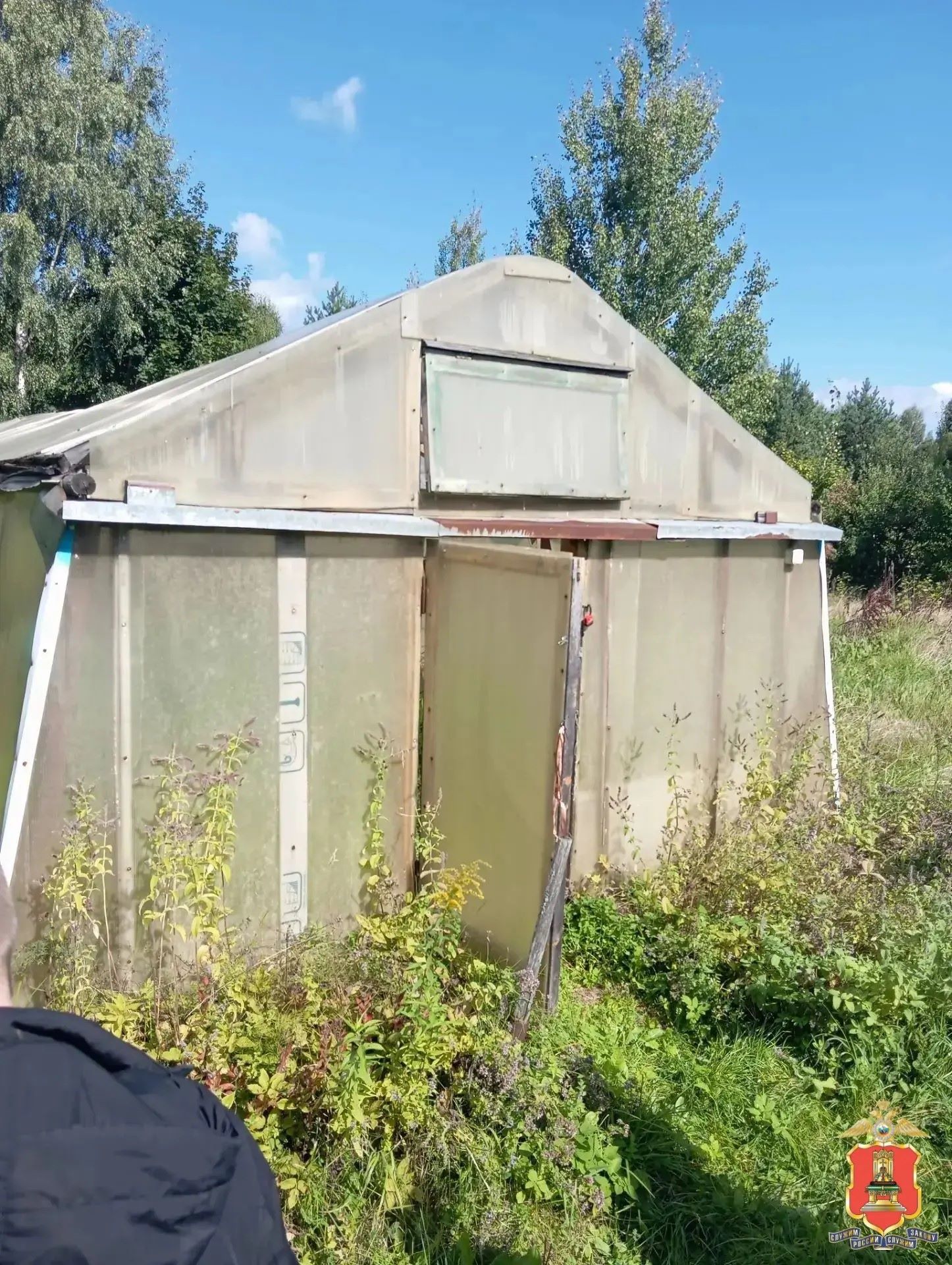 На даче у жительницы Тверской области обнаружили теплицу с коноплей