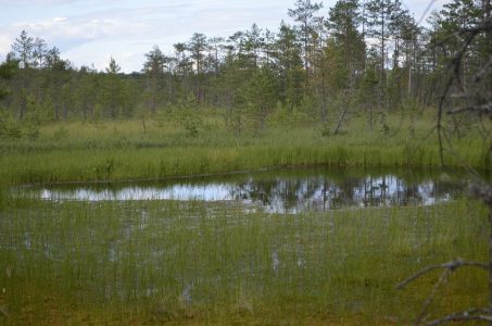В Тверской области туристов окунают в мертвую воду воду