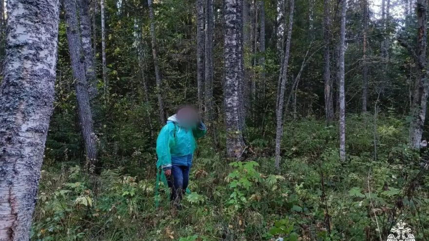 заблудившуюся