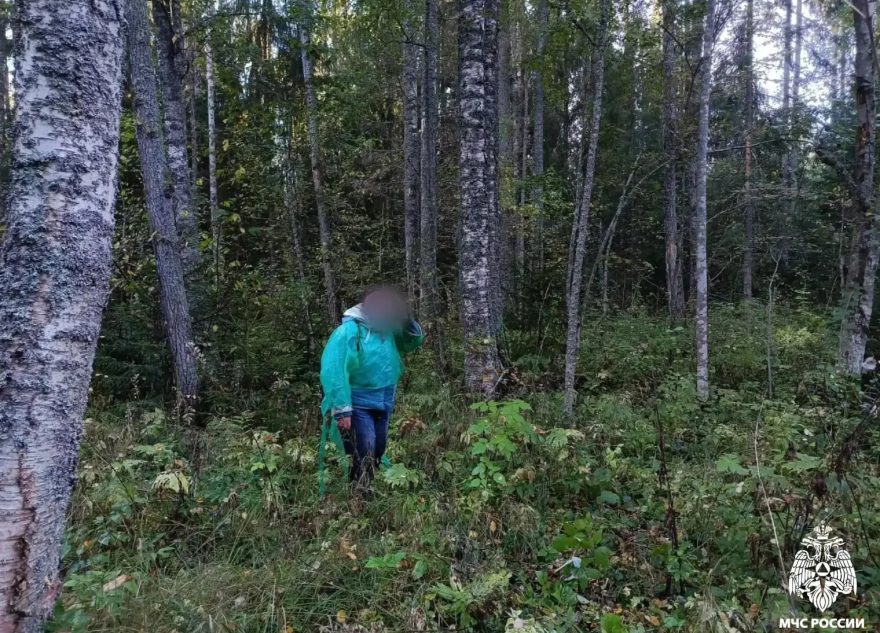 заблудившуюся