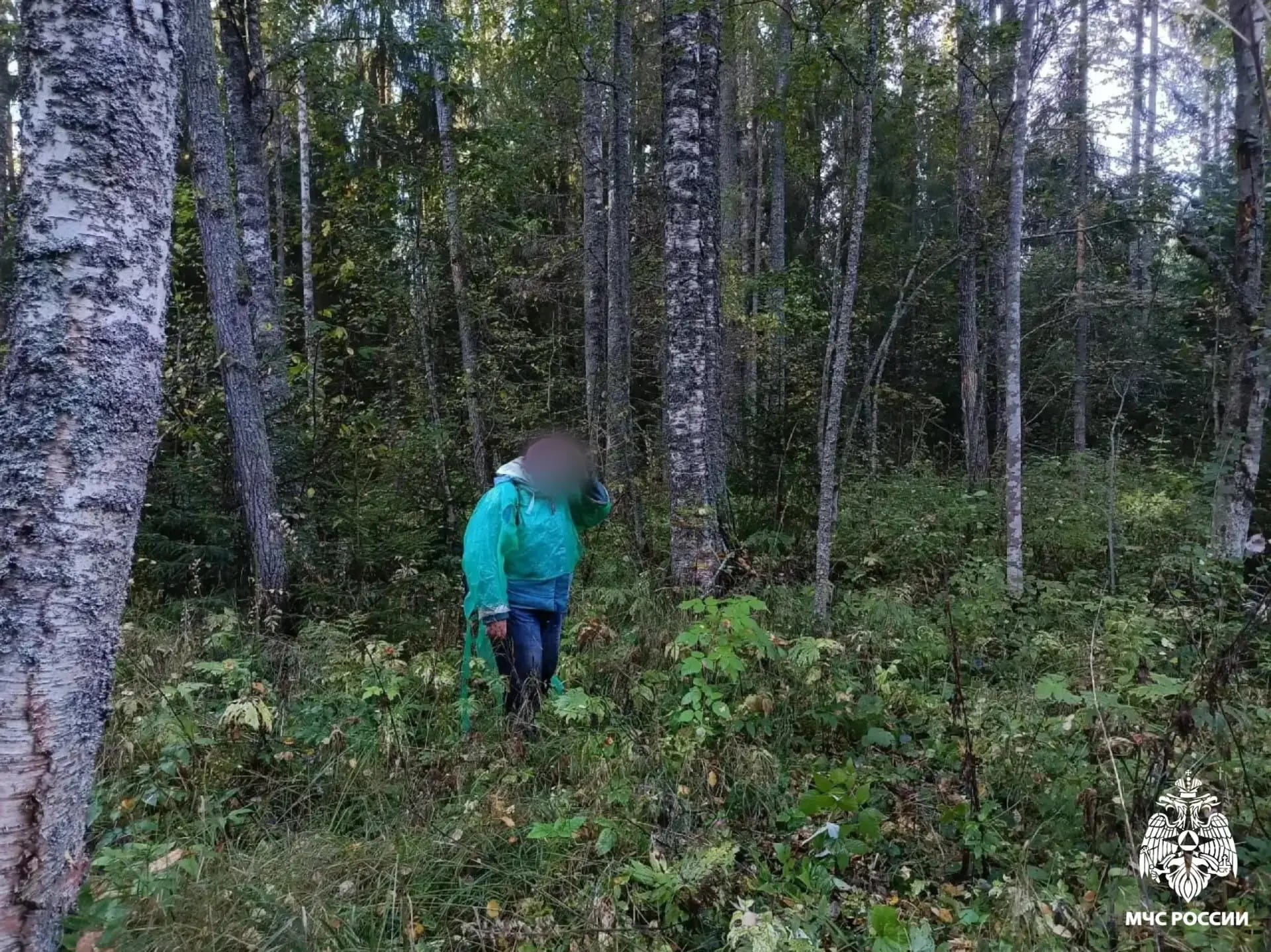 заблудившуюся