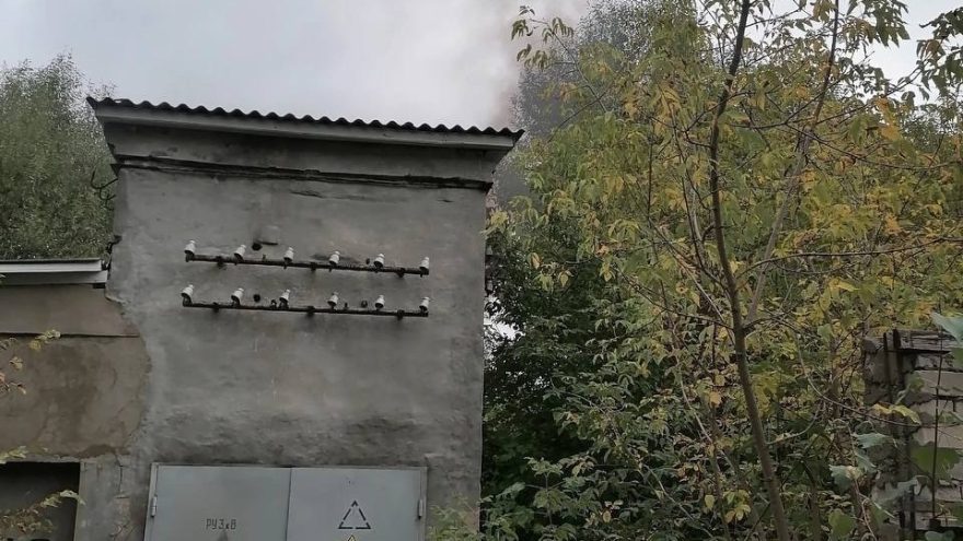 Васильевского