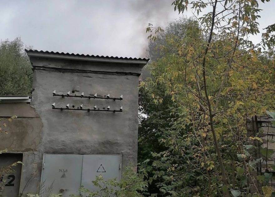 Васильевского