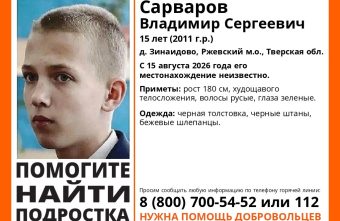 ЛизаАлерт