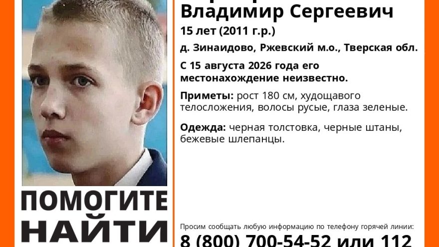 ЛизаАлерт