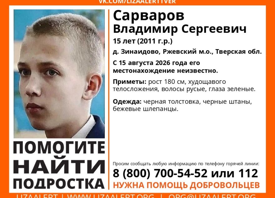ЛизаАлерт