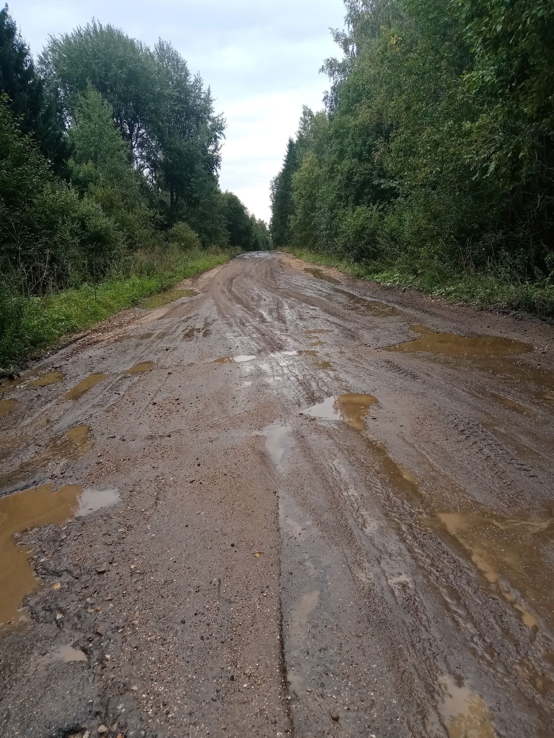 Из-за аварийной дороги в Тверской области школьный автобус ездить не будет