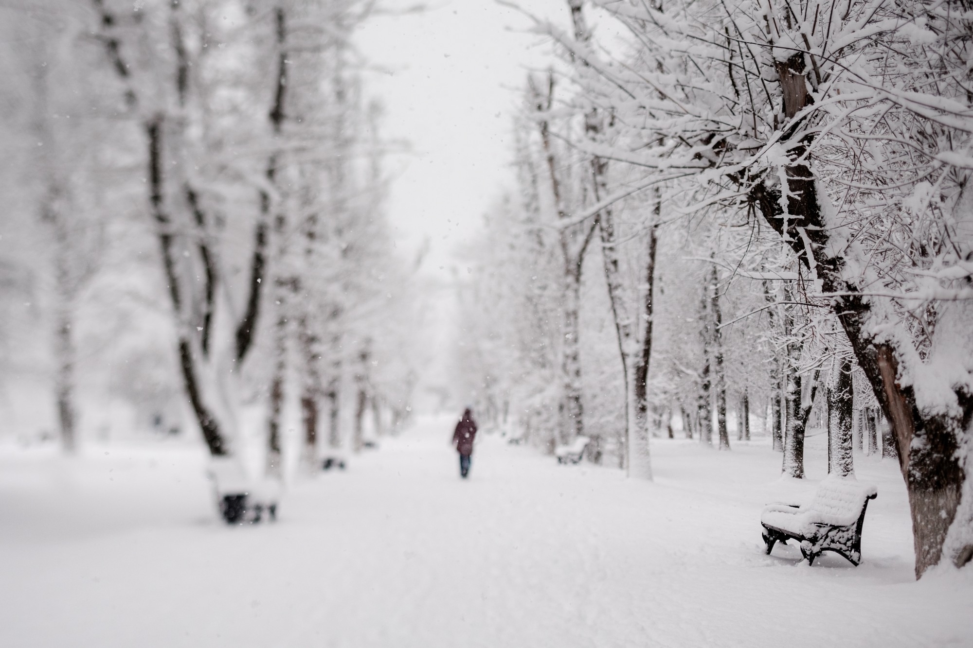 снегопады