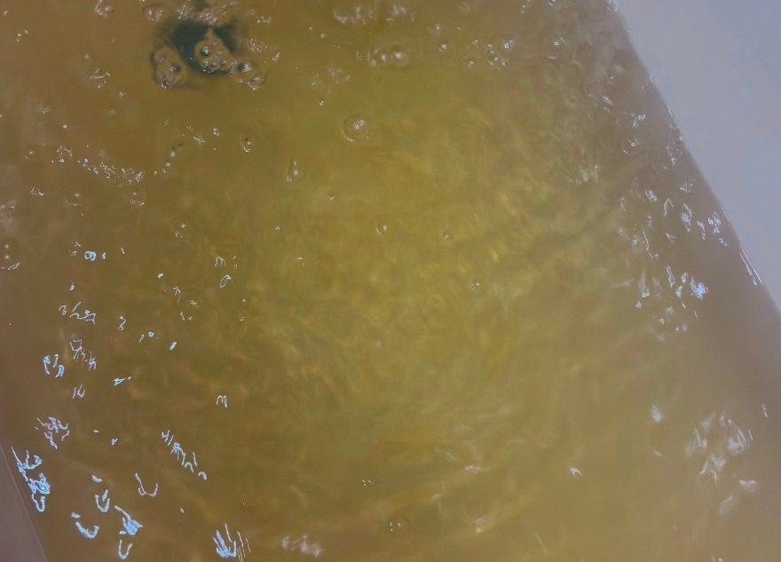 вода