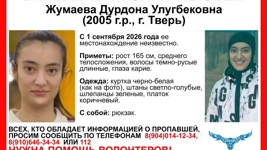 ищут