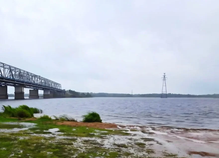 В реке Волге в Тверской области обнаружено тело мужчины