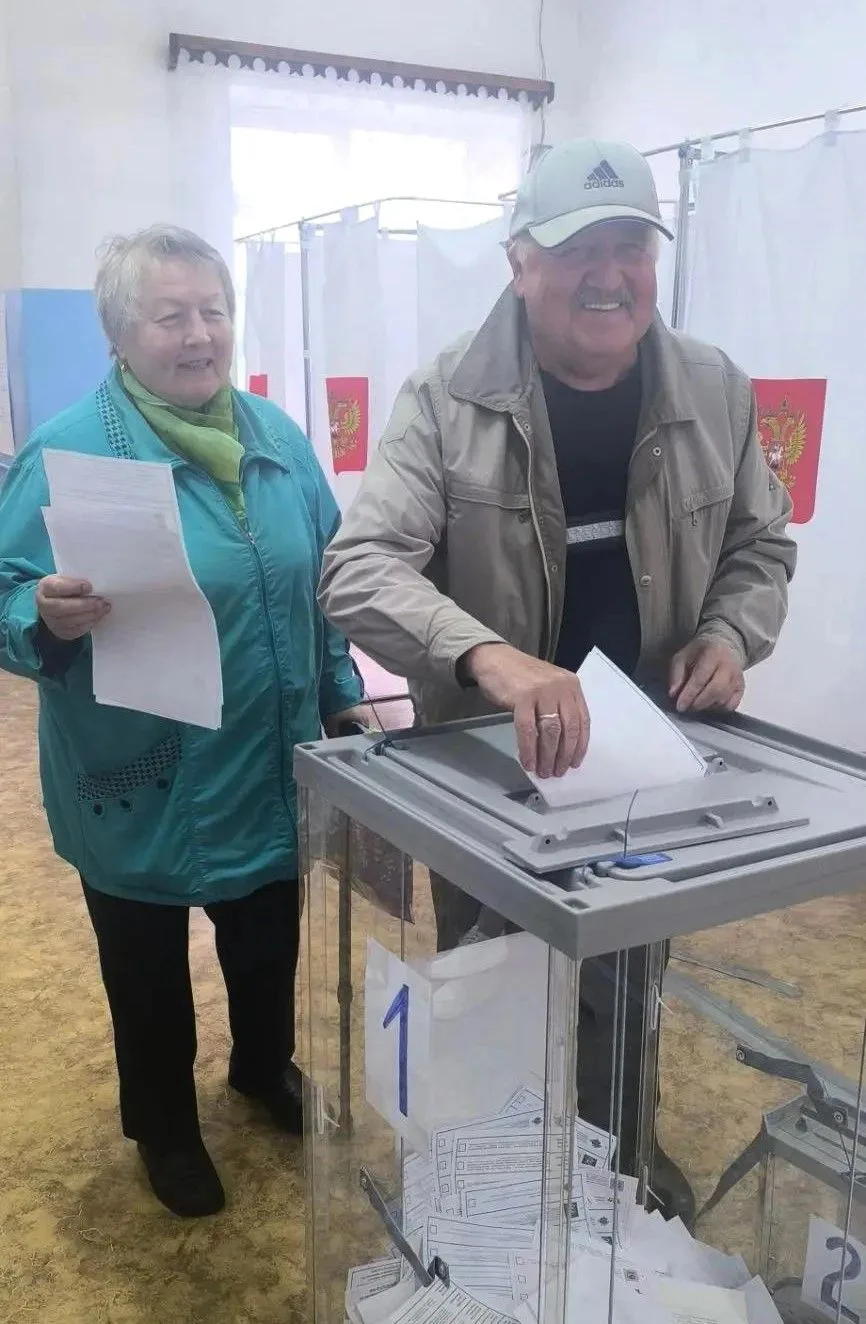 выборы