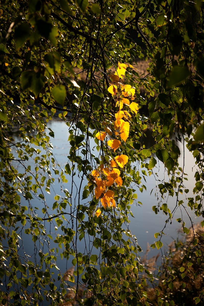 прогноз