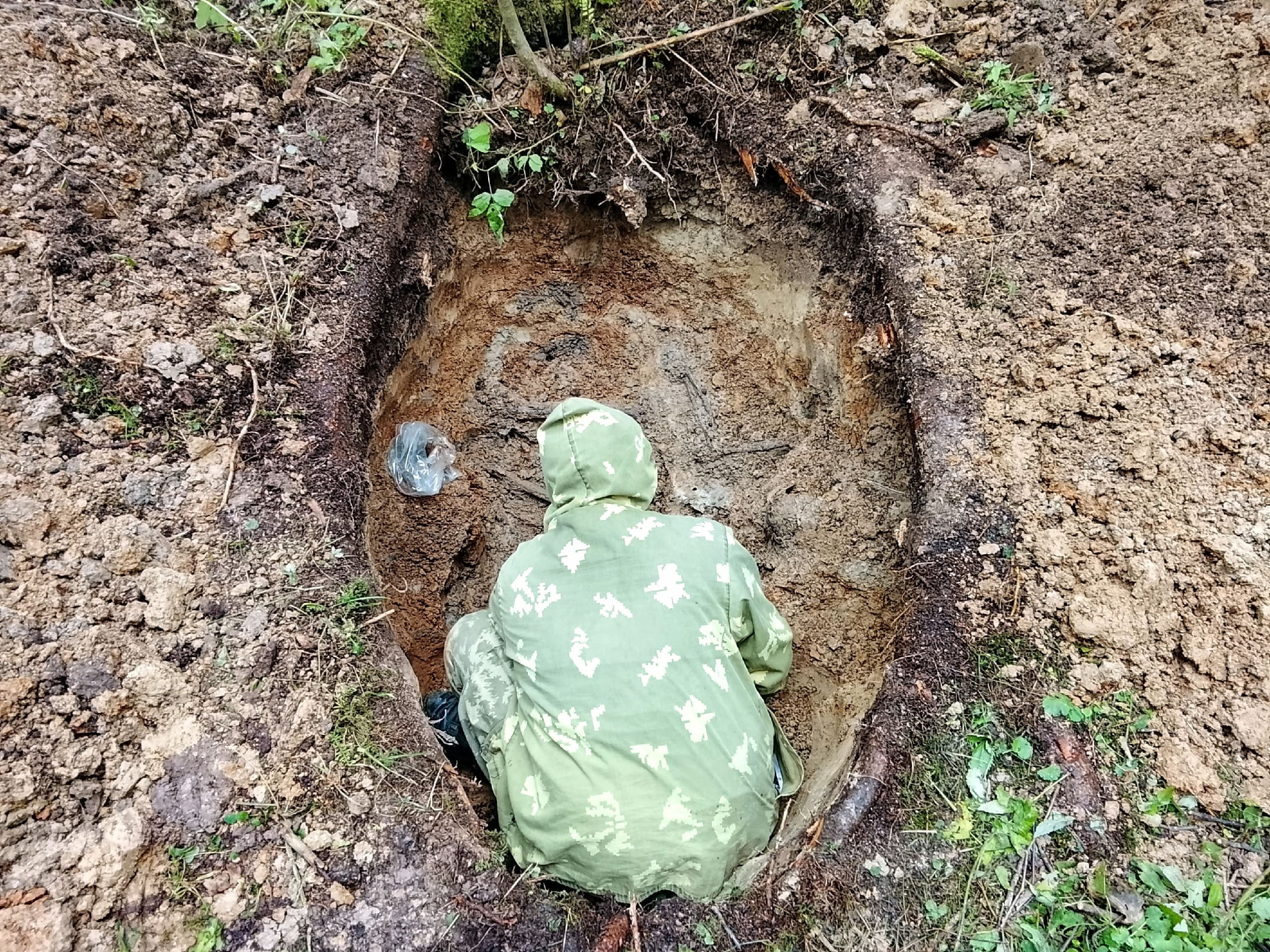 В Тверской области из-под корней ели извлекли останки двух красноармейцев
