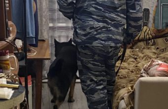 В Тверской области в двух квартирах нашли наркотики наркотики