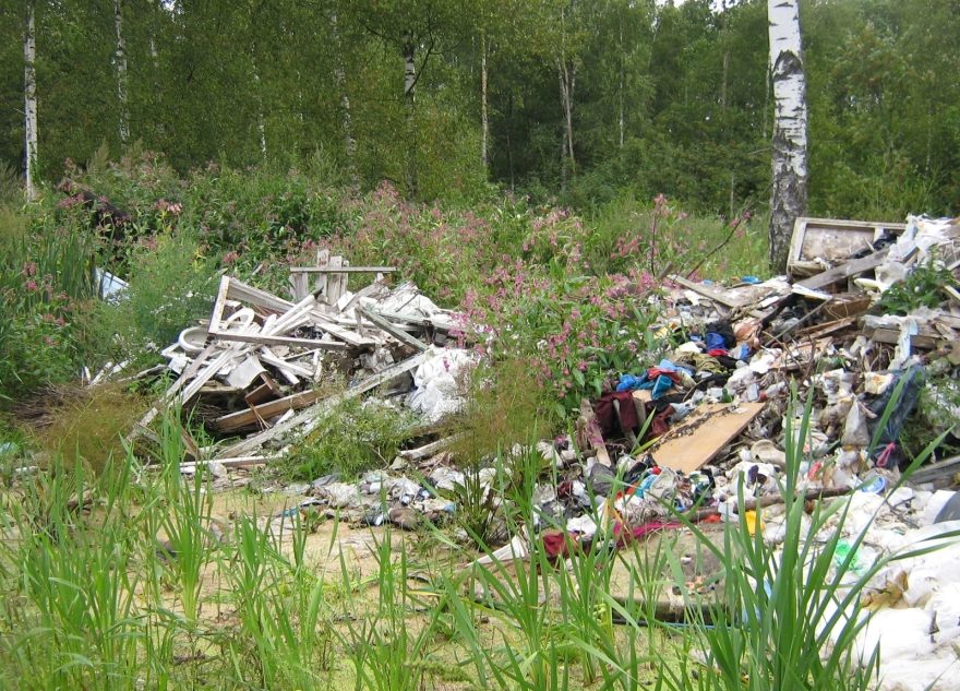 Тверской