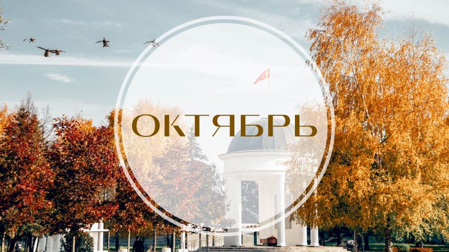 законы