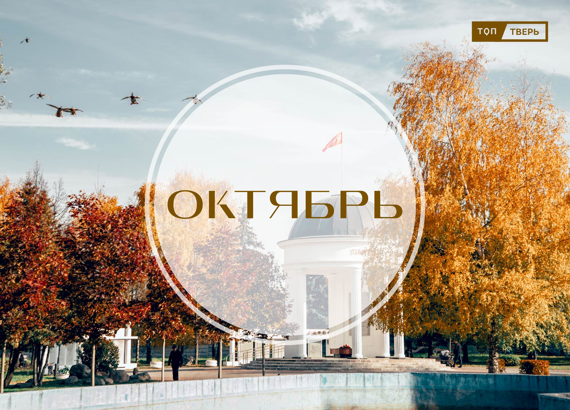 законы