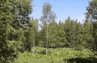 Еще один собственник может лишиться земли в Тверской области земли