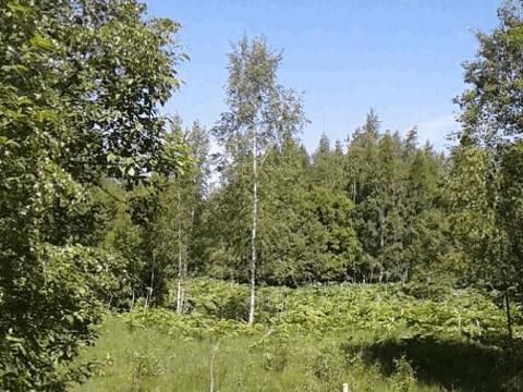 земли