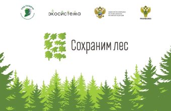 «Сохраним лес»: в Тверской области высадили порядка 420 тысяч сеянцев хвойных пород «Сохраним лес»: в Тверской области высадили порядка 420 тысяч сеянцев хвойных пород