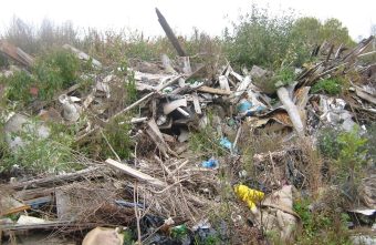 В Тверской области 465 га земель зарастают лесом и мусором Тверской
