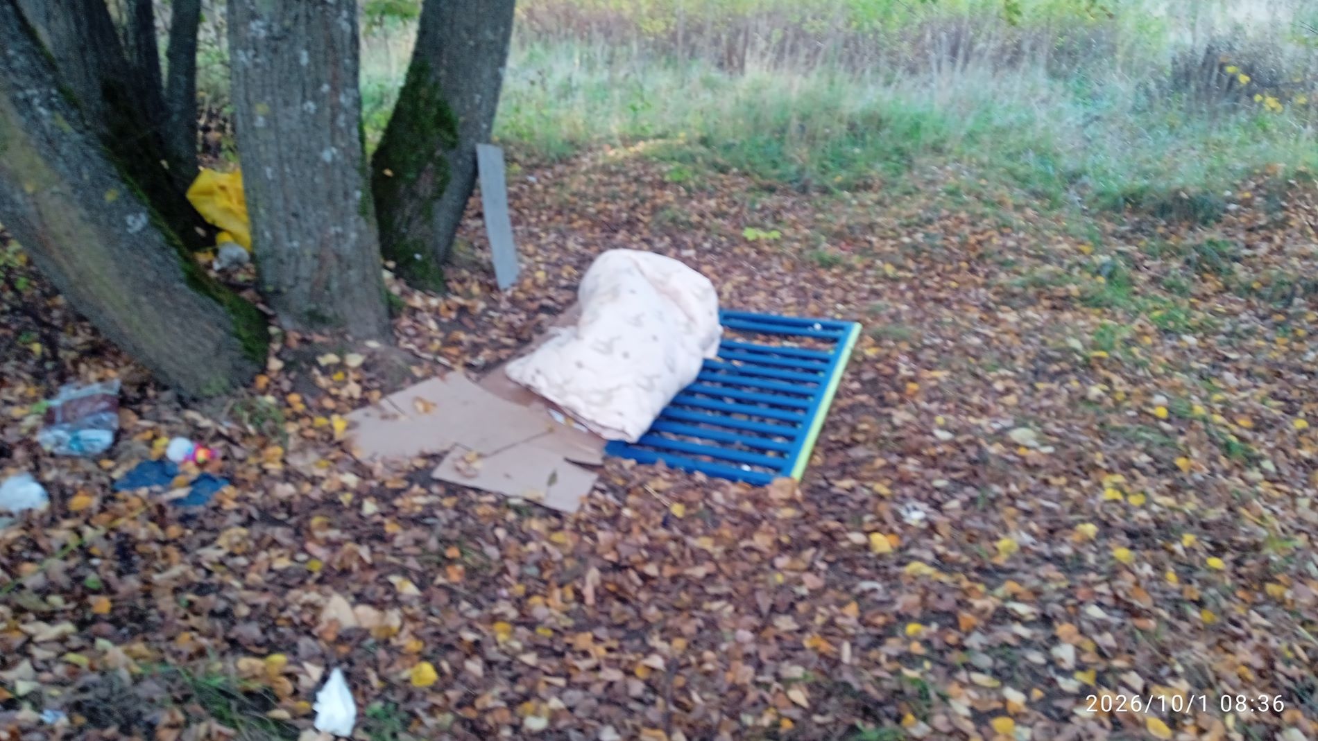 На кладбище в Твери поселился бомж из Бурятии