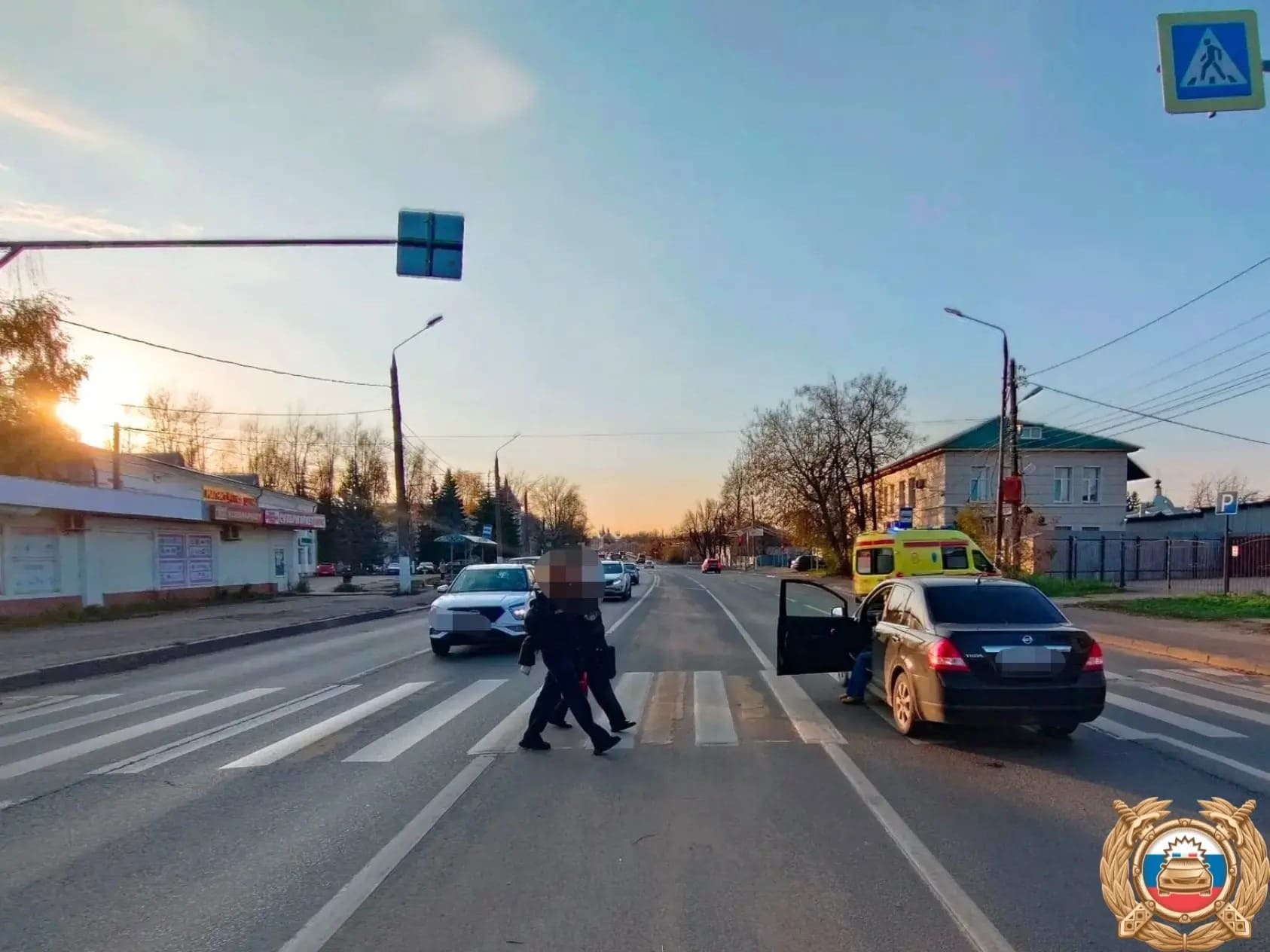 зебре