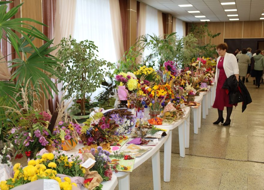 педагогов