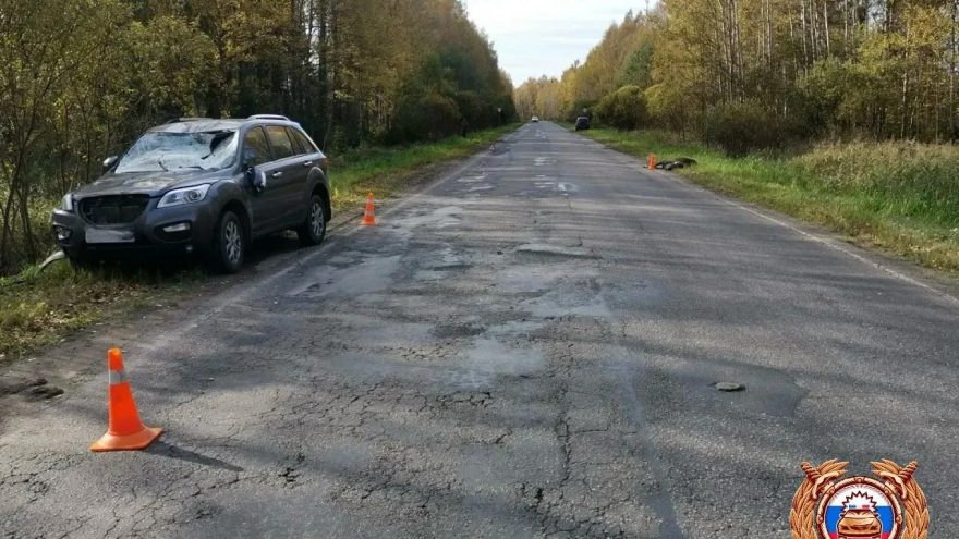 Тверской
