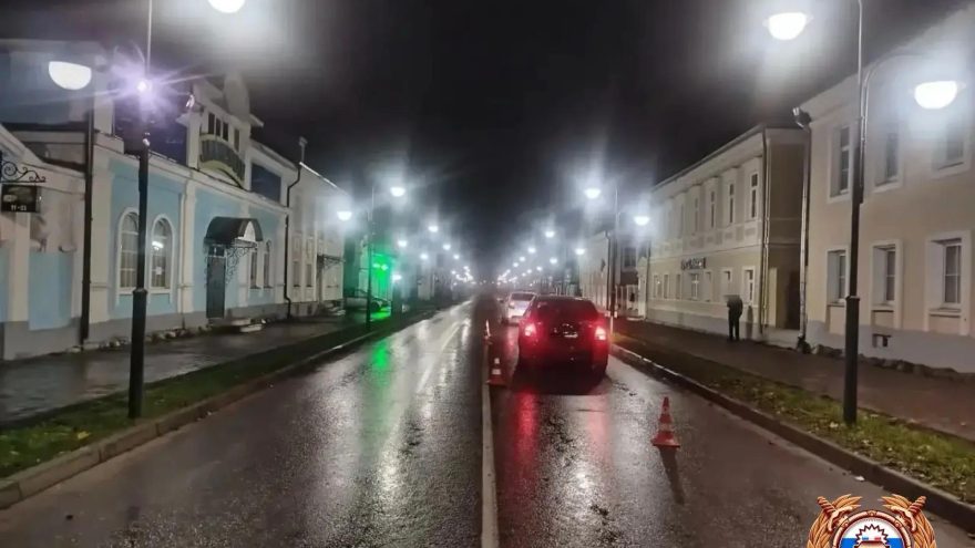 В Тверской области ночью сбили пешехода
