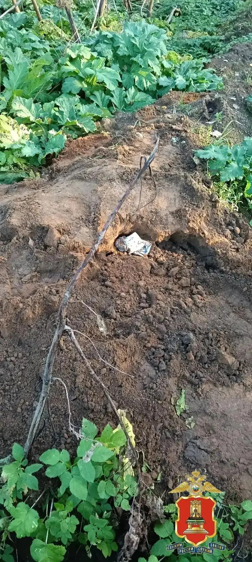 В Тверской области задержали подростков-наркозакладчиков