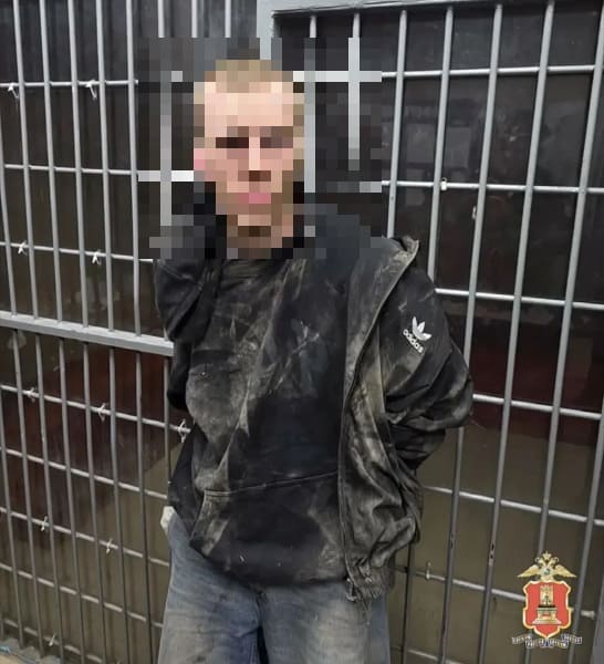 дебошира
