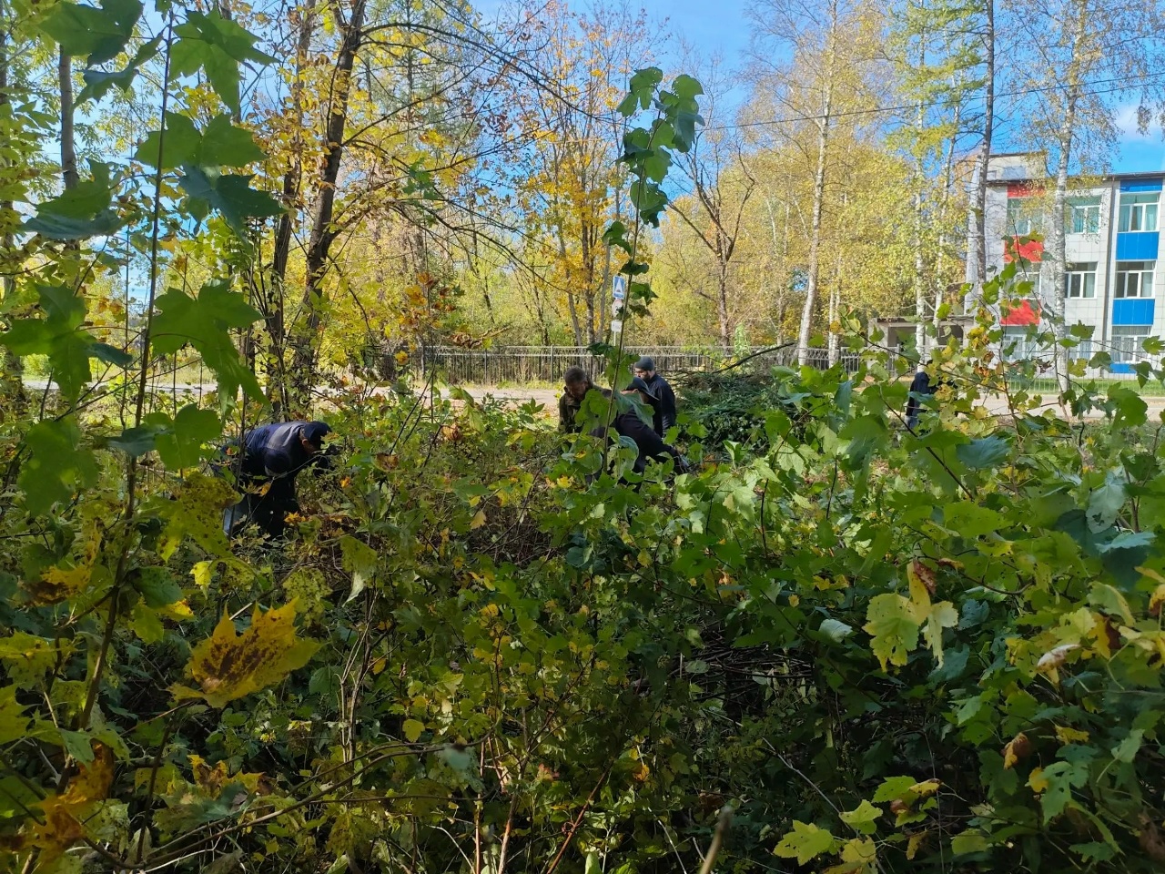 парке