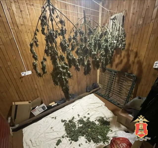 В Тверской области задержали троих мужчин, которые устроили наркоферму в заброшенной овчарне
