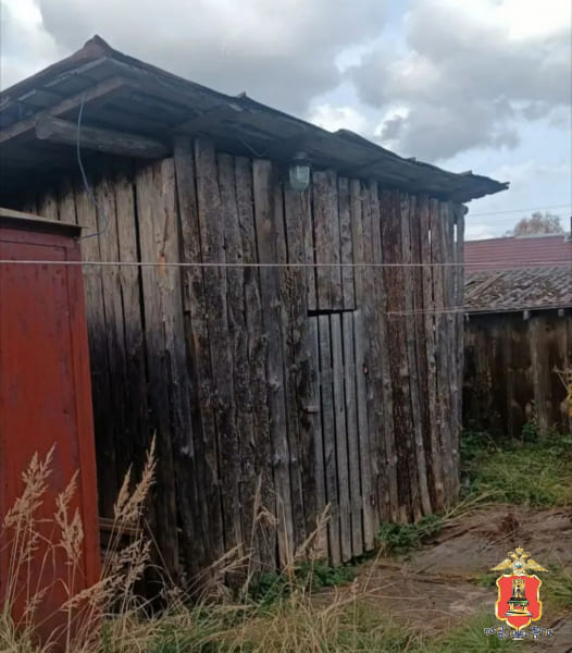 дрова