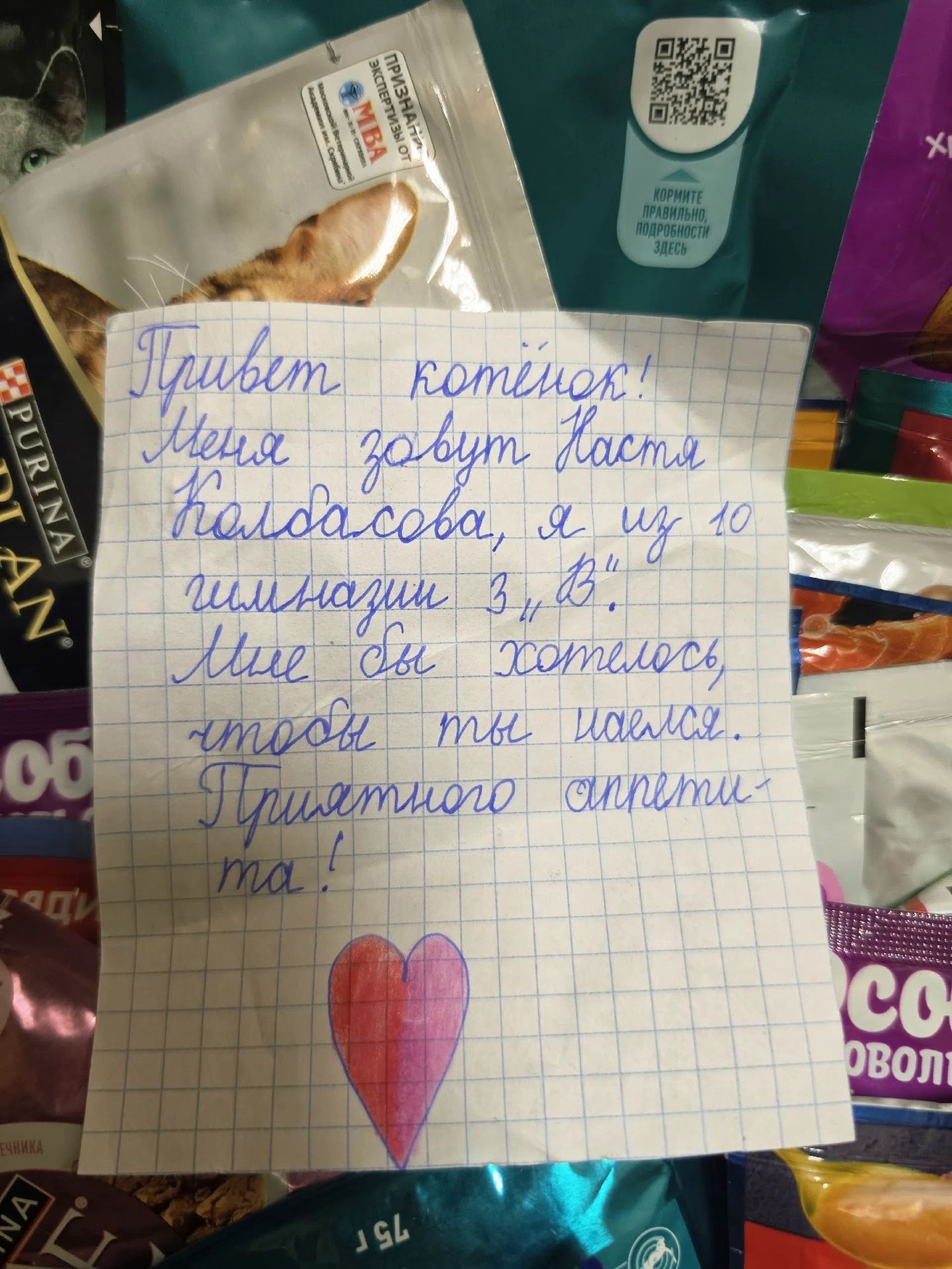 Тверской театр кукол собрал подарки для бездомных животных