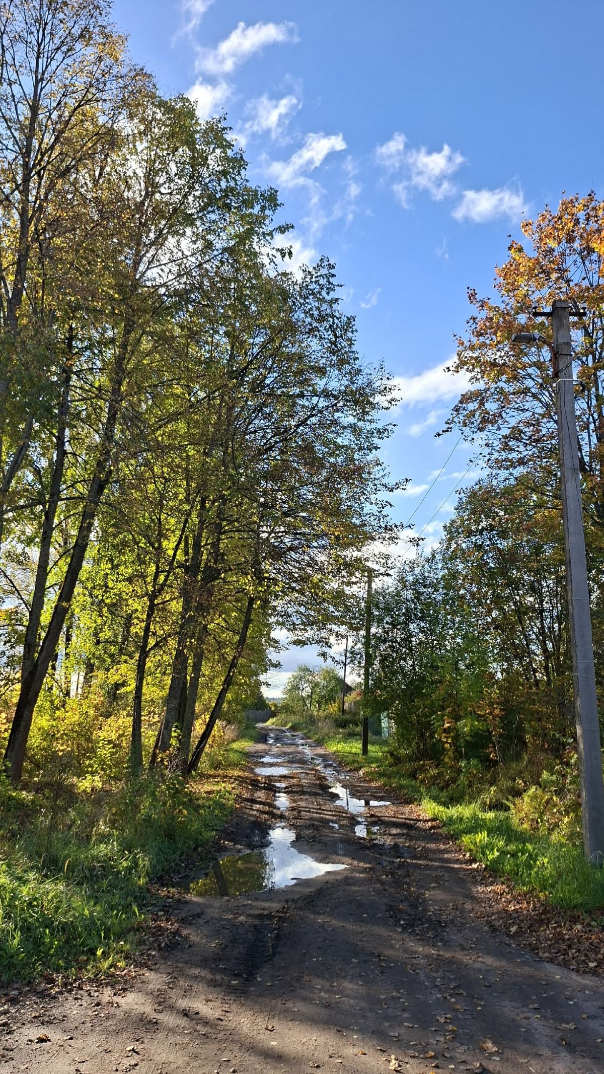 дороги