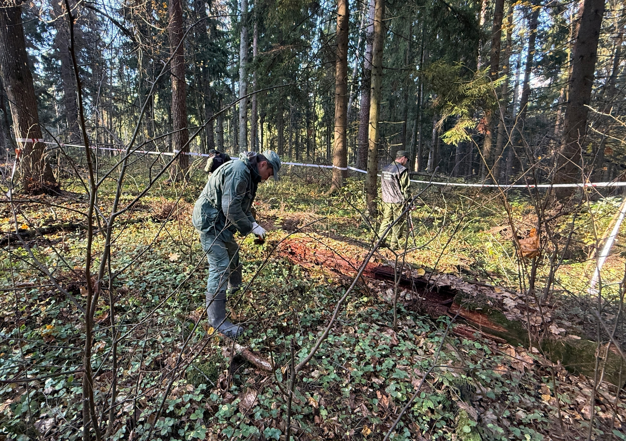 В Тверской области изучают останки времен оккупации