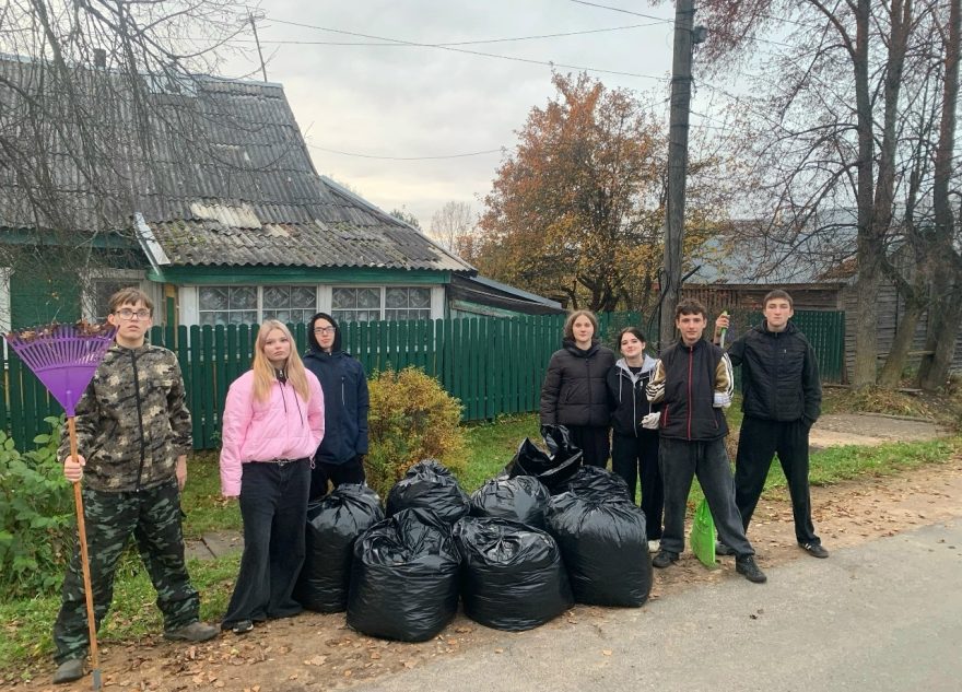 «Тимуровцы» помогают пожилым жителям Оленинского округа