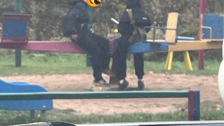 родителей