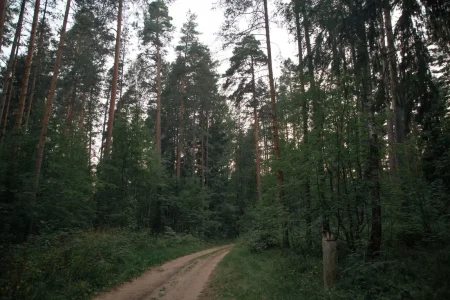 В Тверской области браконьер остался без ружья ружья