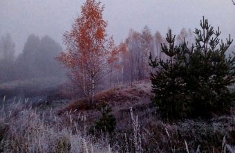 В ноябре погода обещает жителям Тверской области большой сюрприз погода