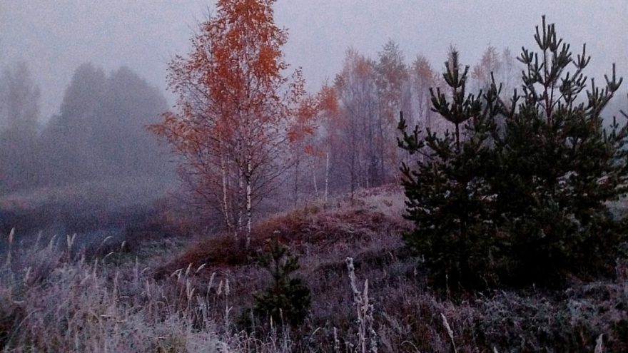 погода