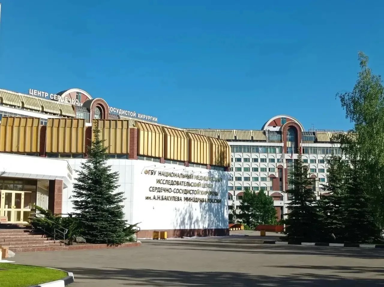 консультации